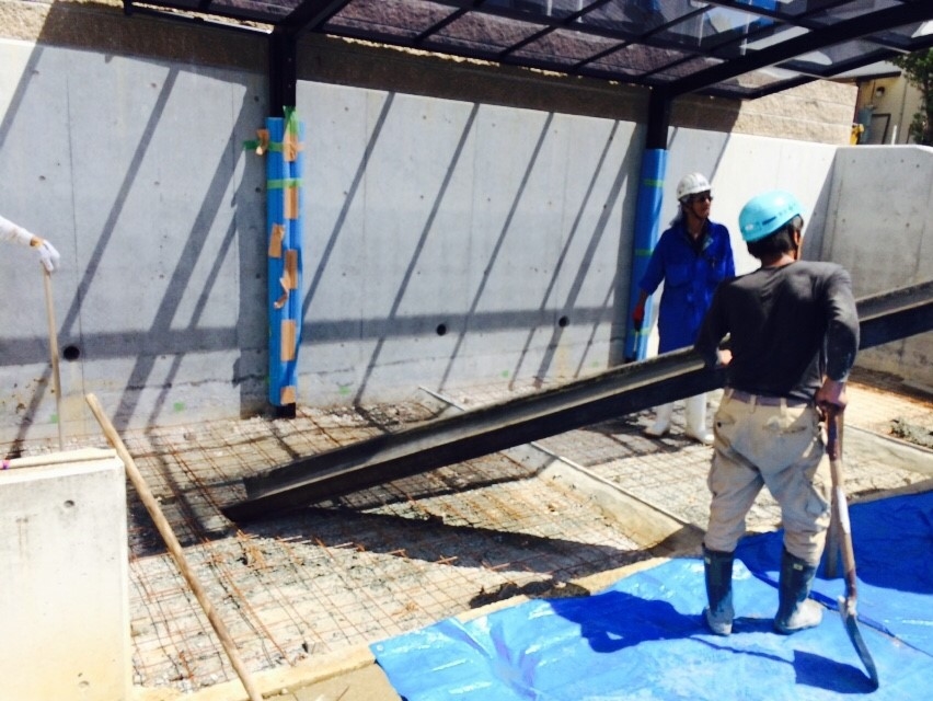 ���� �J�[�|�[�g �G�N�X�e���A ���� ����