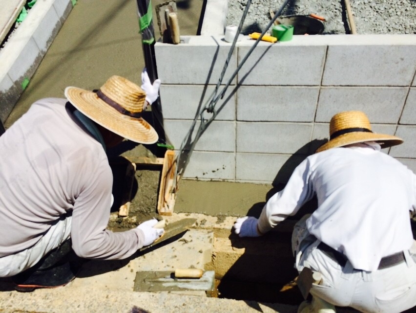 ���� �J�[�|�[�g �G�N�X�e���A ���� ����