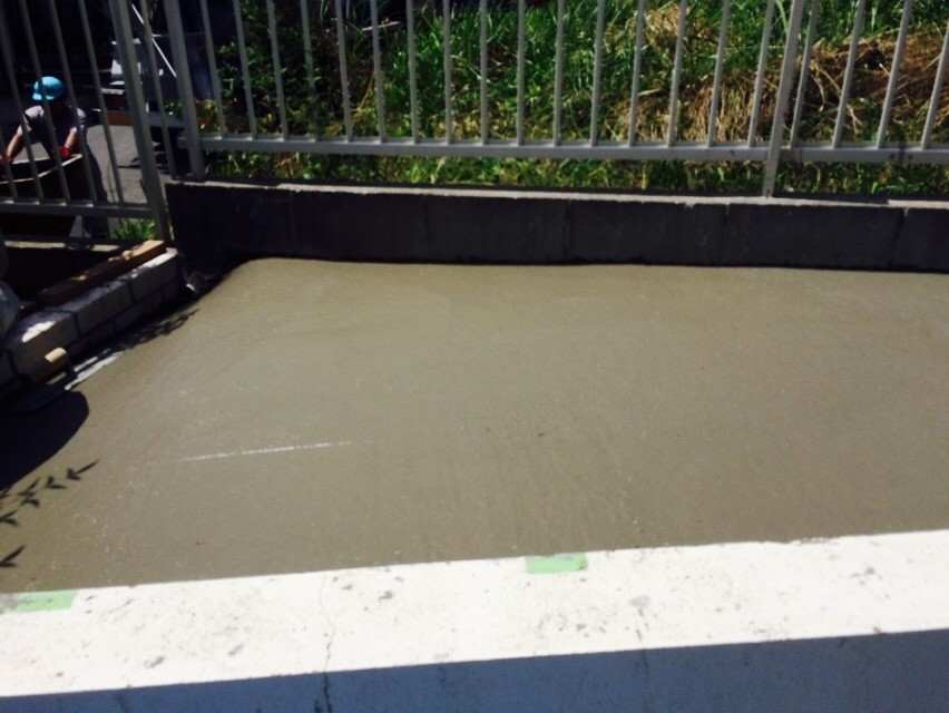 ���� �J�[�|�[�g �G�N�X�e���A ���� ����